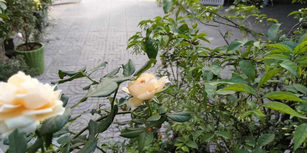 Backpackers Hotel Ha Tinh Exterior foto